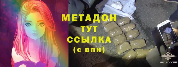 стаф Алзамай