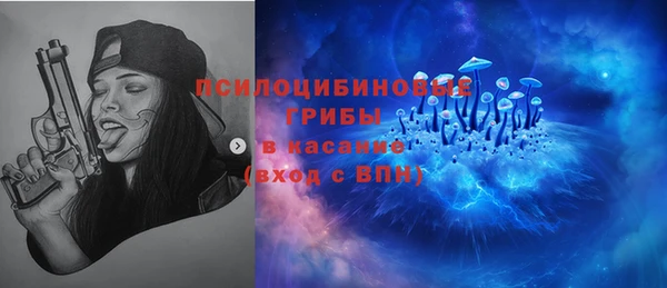 стаф Алзамай
