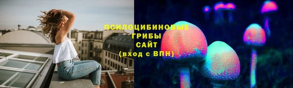 стаф Алзамай