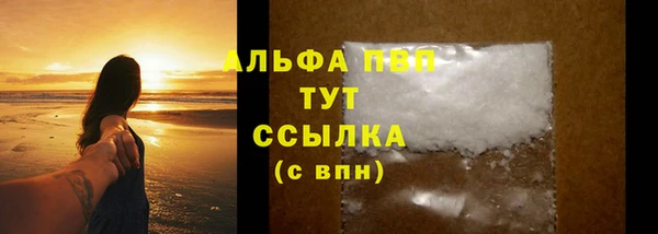 стаф Алзамай