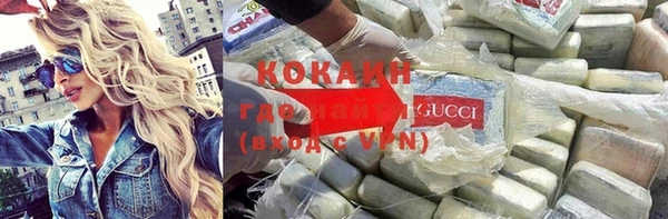 стаф Алзамай