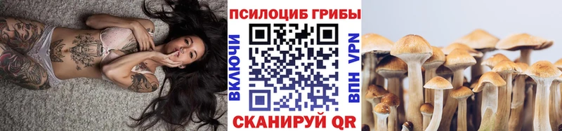 блэк спрут как войти  наркотики  Бийск  Псилоцибиновые грибы Magic Shrooms 