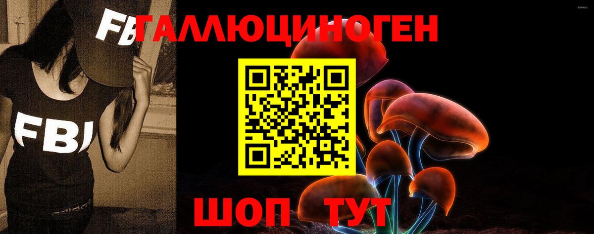 Галлюциногенные грибы Psilocybe Бийск